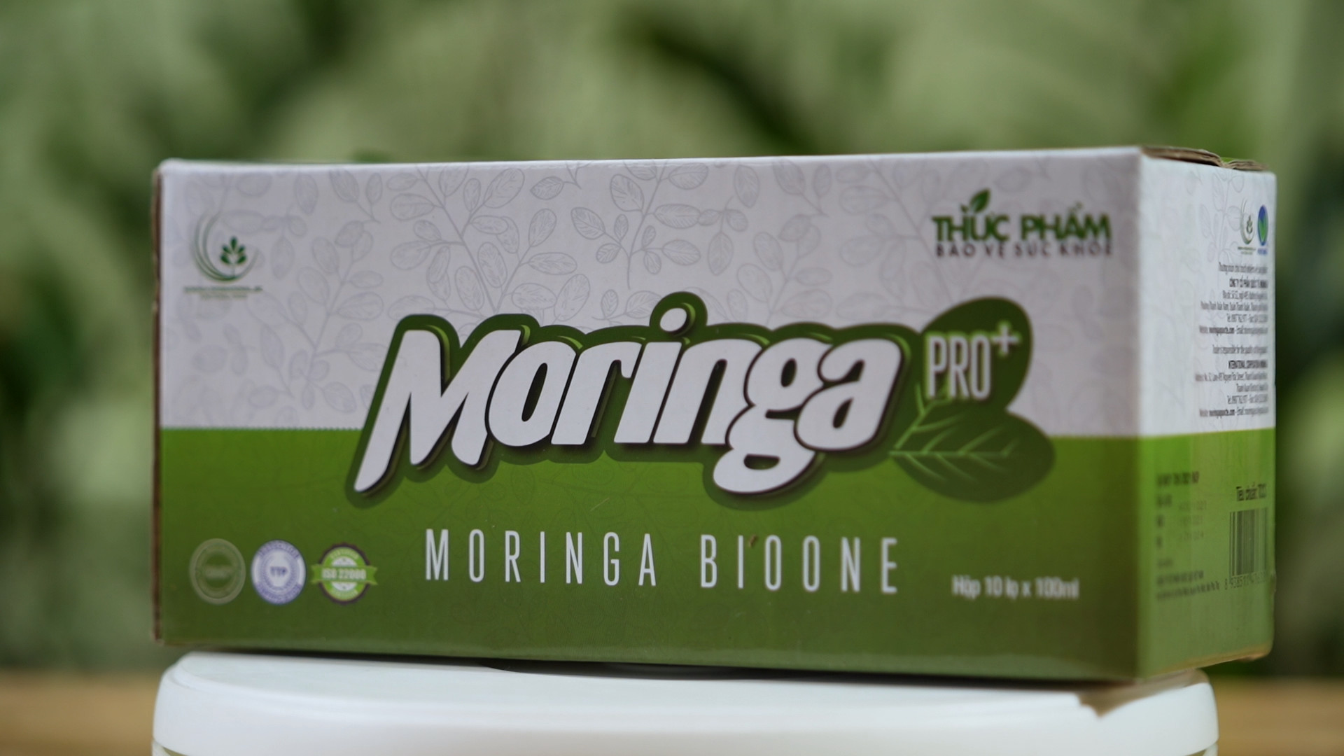 Moringa Bione tương tác đến covid-19 và nan đề sức khỏe ra sao